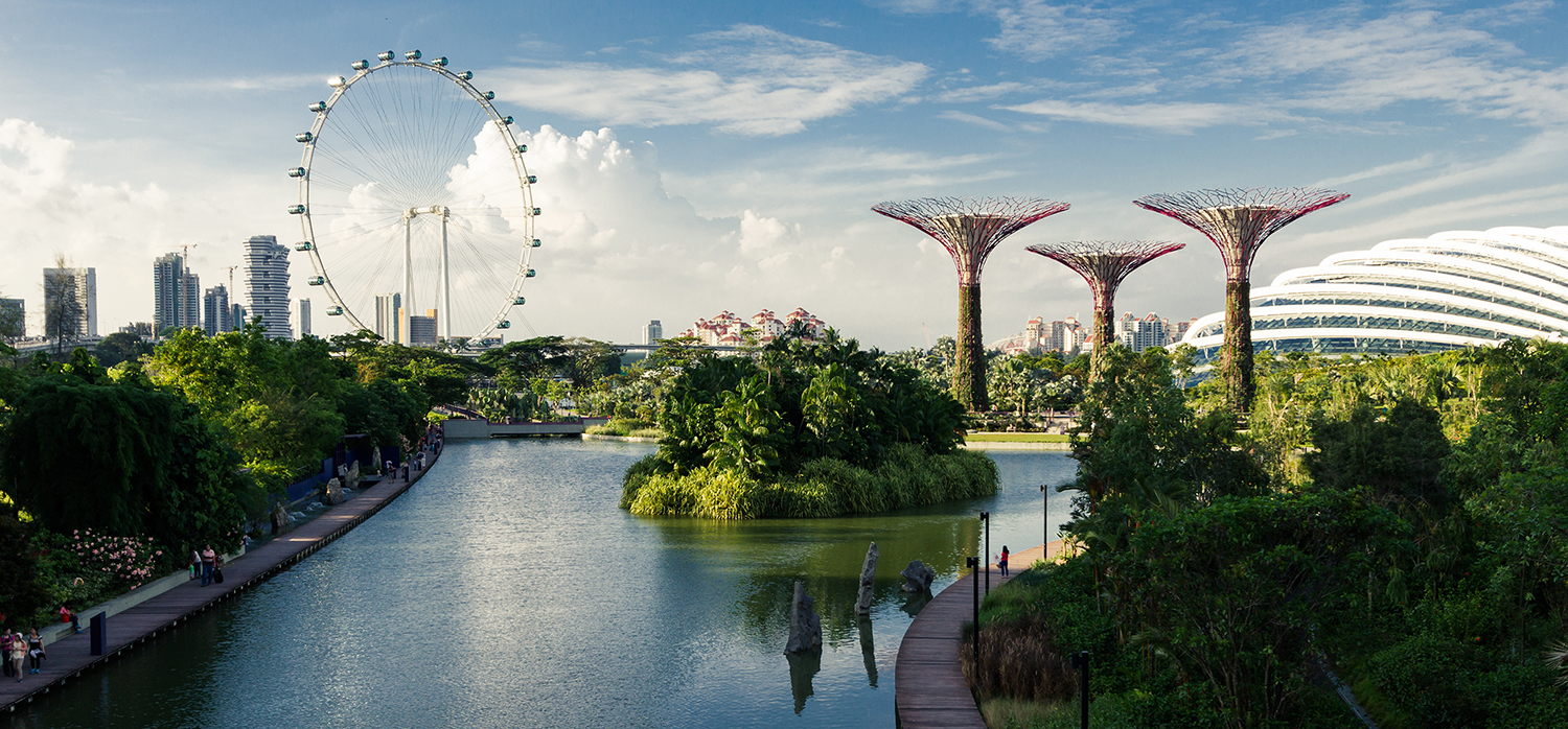 SG nature SG nature